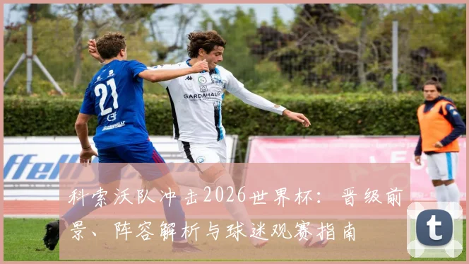 科索沃队冲击2026世界杯：晋级前景、阵容解析与球迷观赛指南