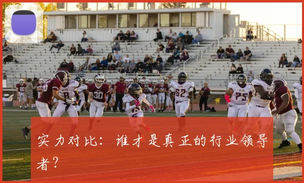 实力对比：谁才是真正的行业领导者？