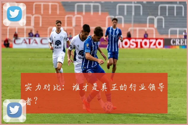 实力对比：谁才是真正的行业领导者？